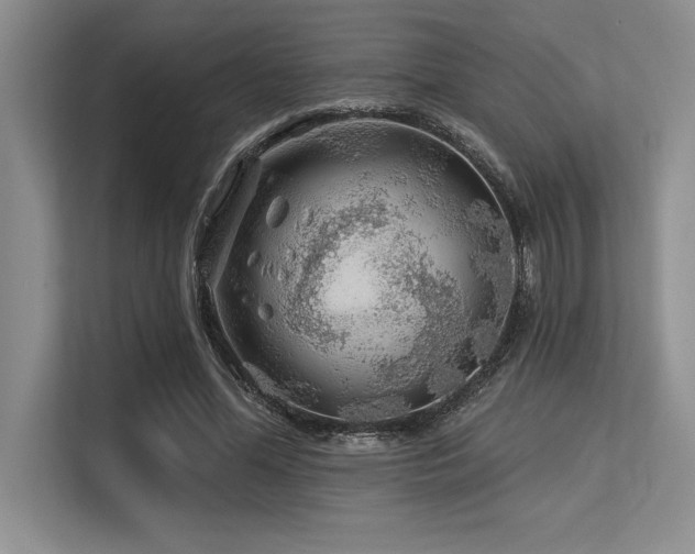 X0000113580588200909181309