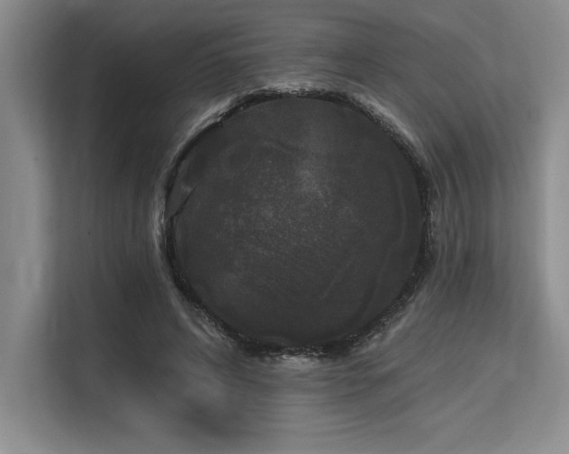 X0000113580592200909181309