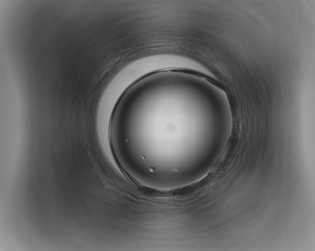X0000113580595200909181309