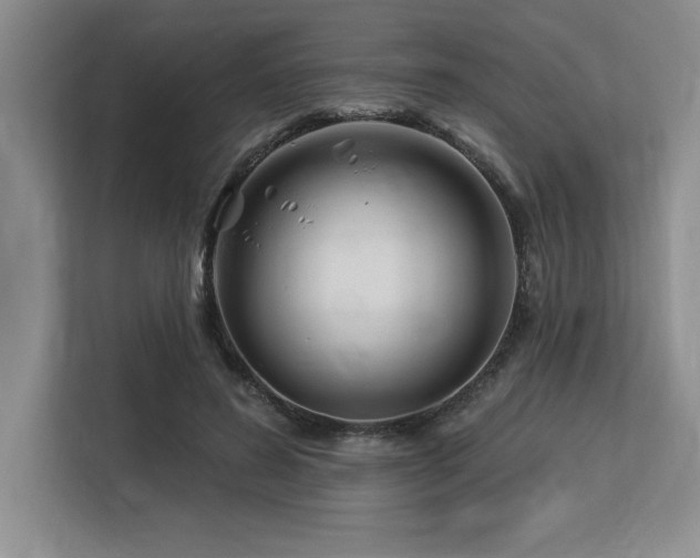 X0000113580596200909181309