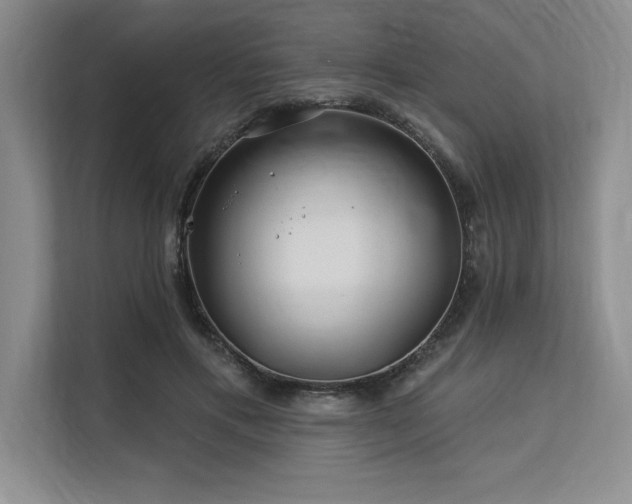 X0000113580597200909181309
