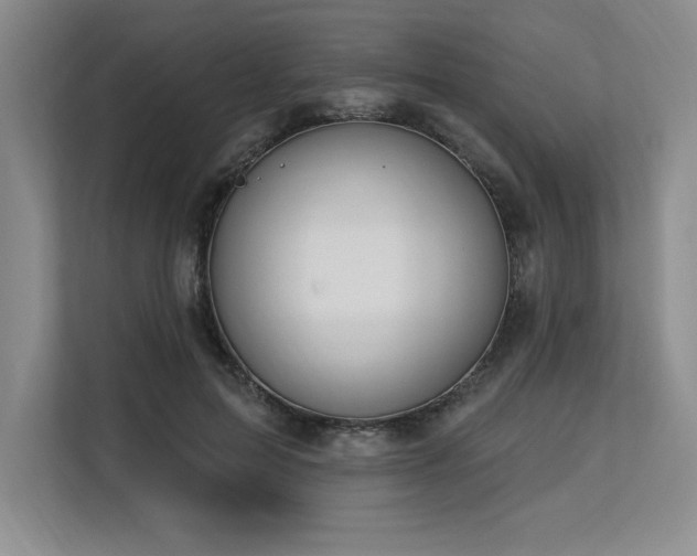 X0000113580599200909181309