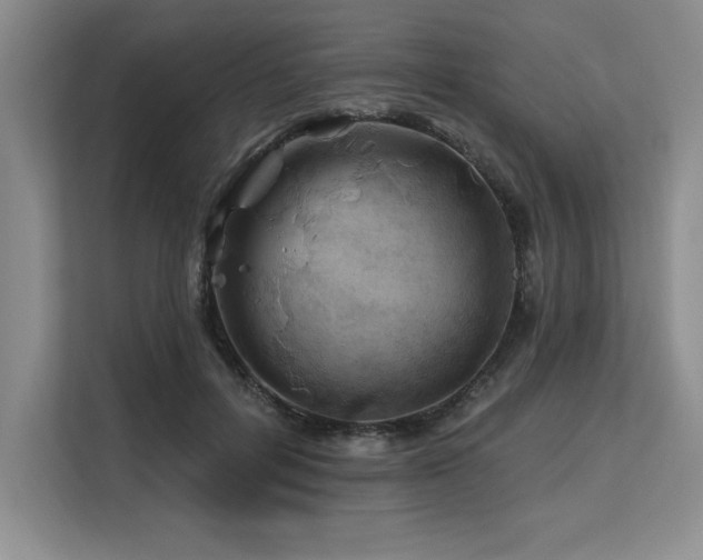 X0000113580600200909181309
