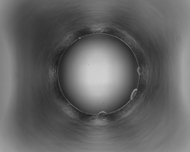 X0000113580601200909181309