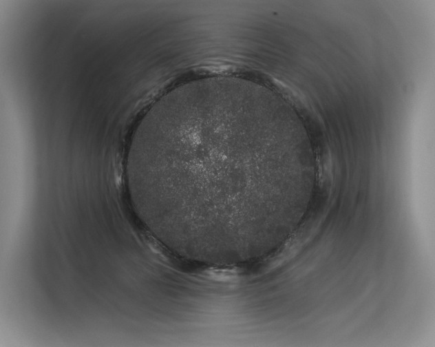 X0000113580606200909181308