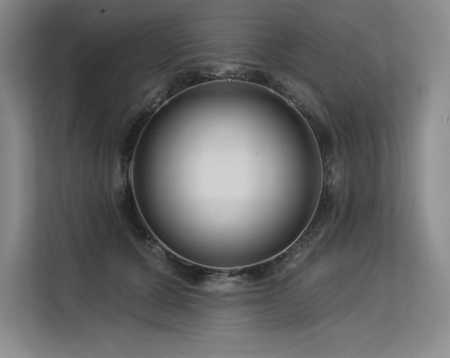 X0000113580607200909181308