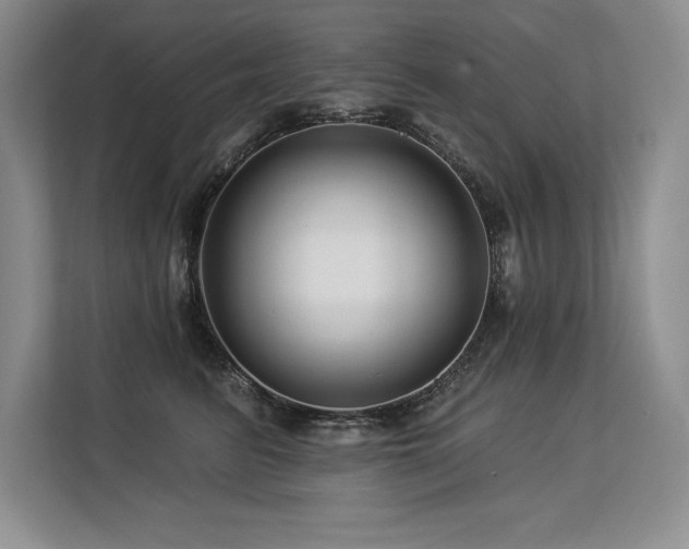 X0000113580615200909181308