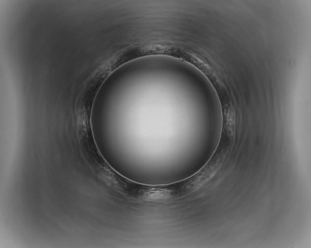 X0000113580617200909181308