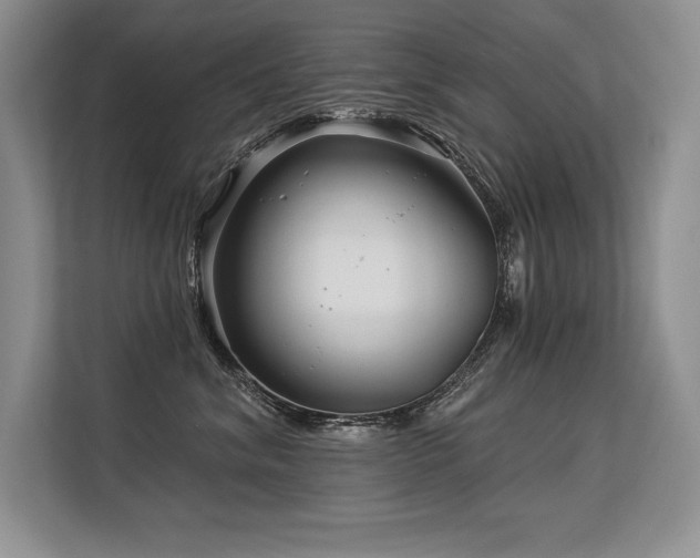 X0000113580620200909181308