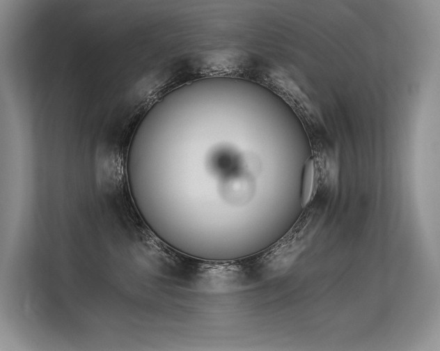 X0000113580621200909181308