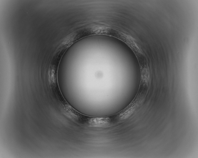 X0000113580622200909181308