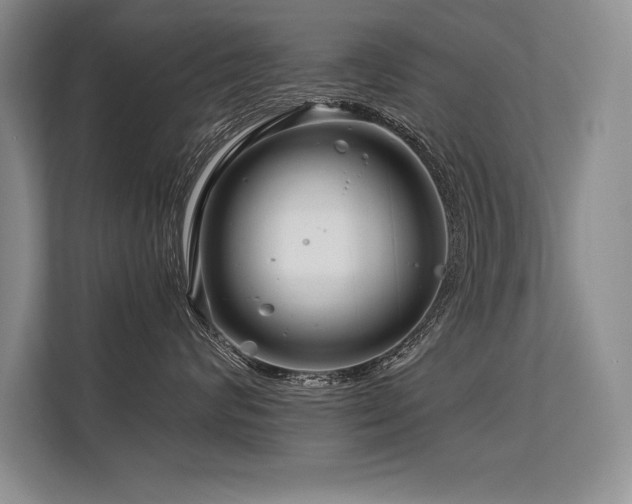X0000113580624200909181308