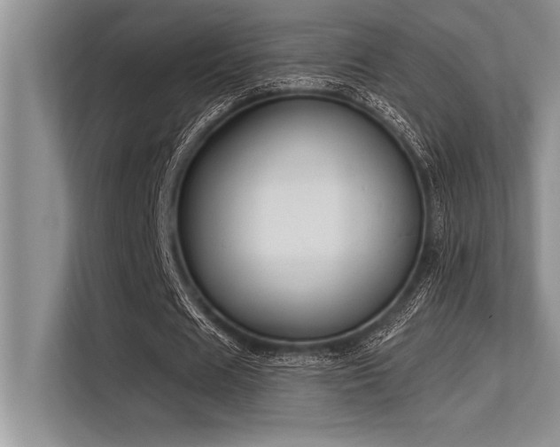 X0000113580625200909181308