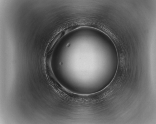 X0000113580626200909181308