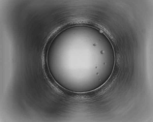 X0000113580629200909181308