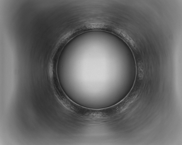 X0000113580631200909181308