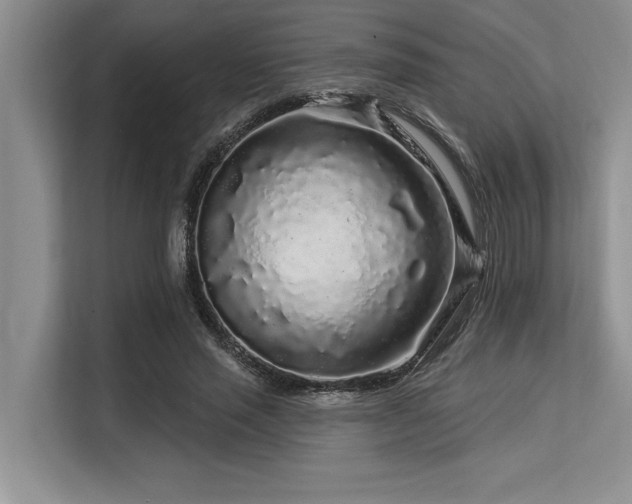 X0000113580637200909181308