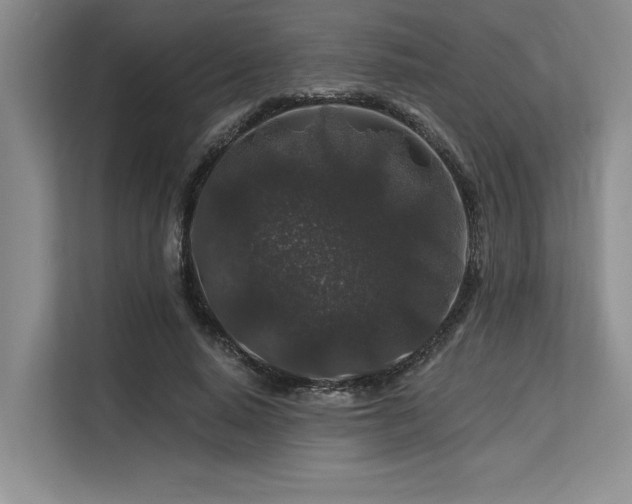 X0000113580640200909181308