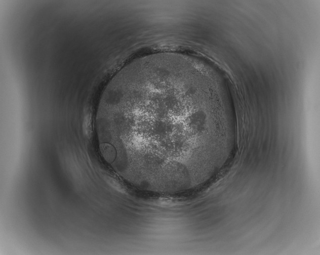 X0000113580641200909181308