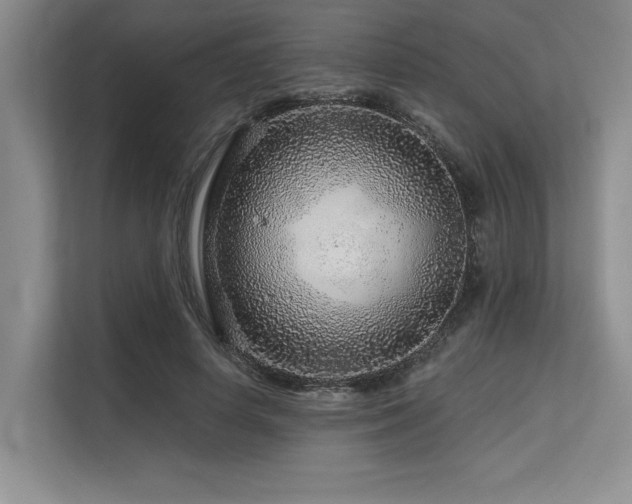 X0000113580642200909181308