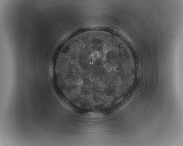 X0000113580644200909181308