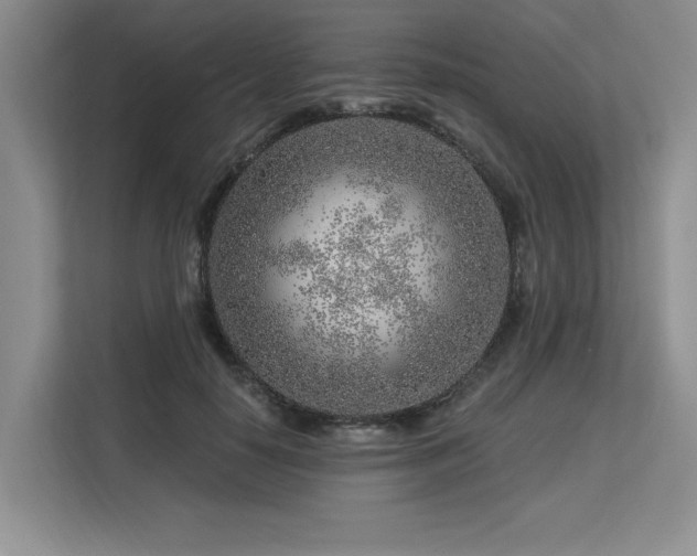 X0000113580650200909181308