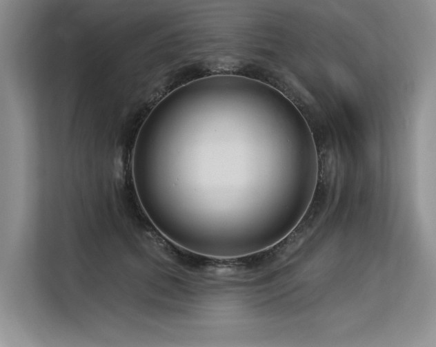 X0000113580655200909181308