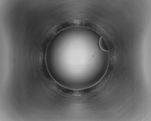 X0000113580656200909181308
