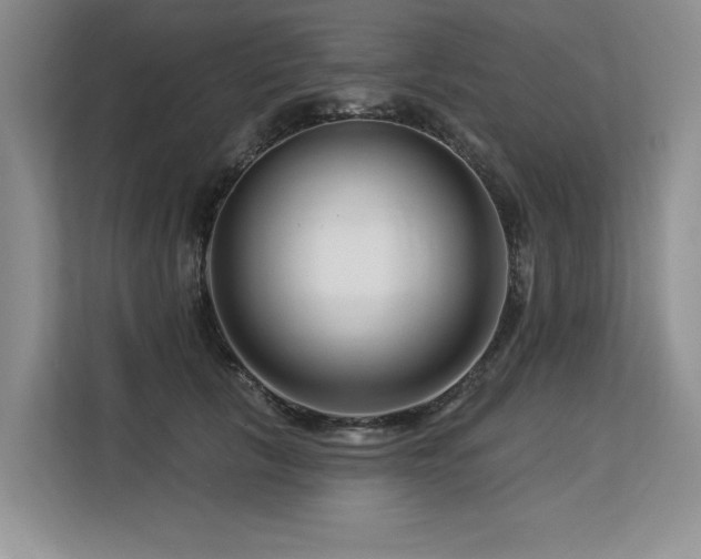 X0000113580657200909181308