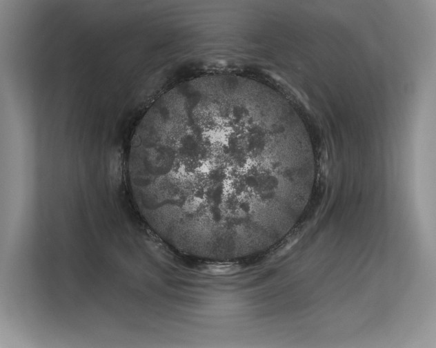 X0000113580659200909181308