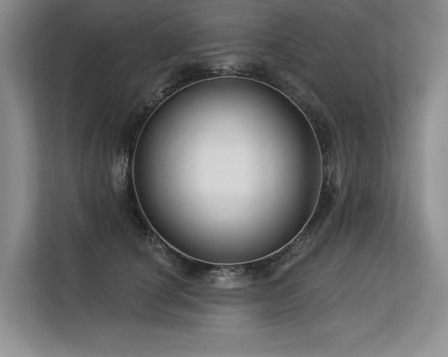 X0000113580660200909181308