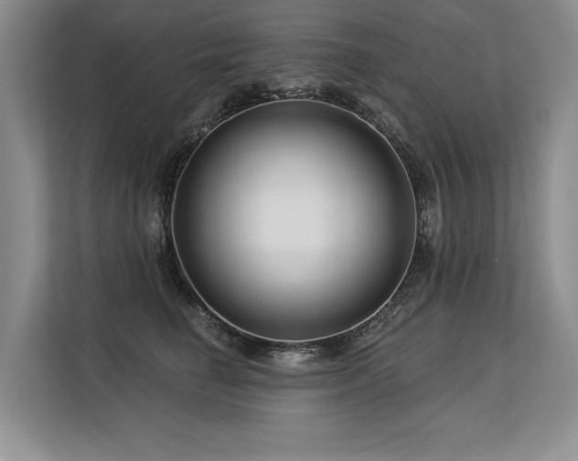 X0000113580662200909181308