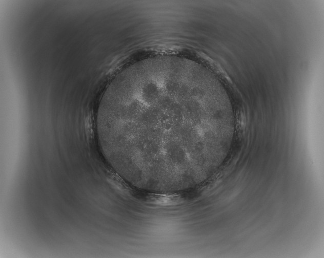 X0000113580663200909181308
