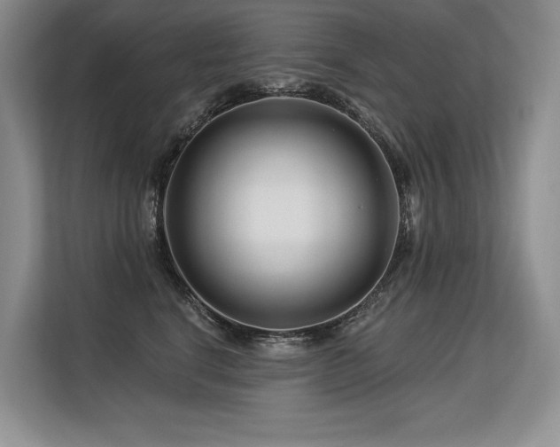 X0000113580664200909181308
