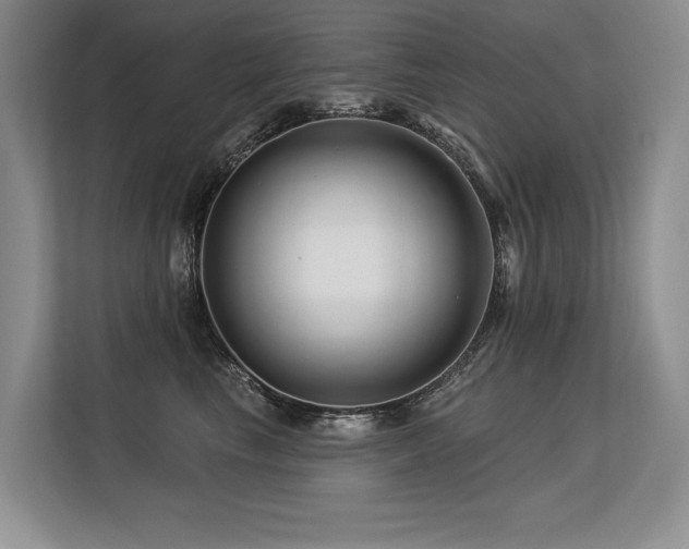 X0000113580665200909181308