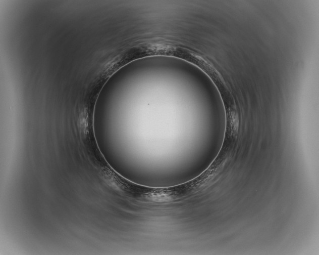 X0000113580668200909181308