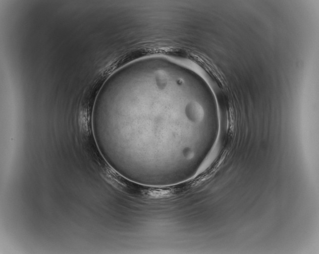 X0000113580669200909181308