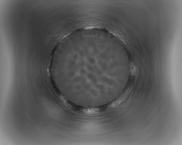 X0000113580670200909181308