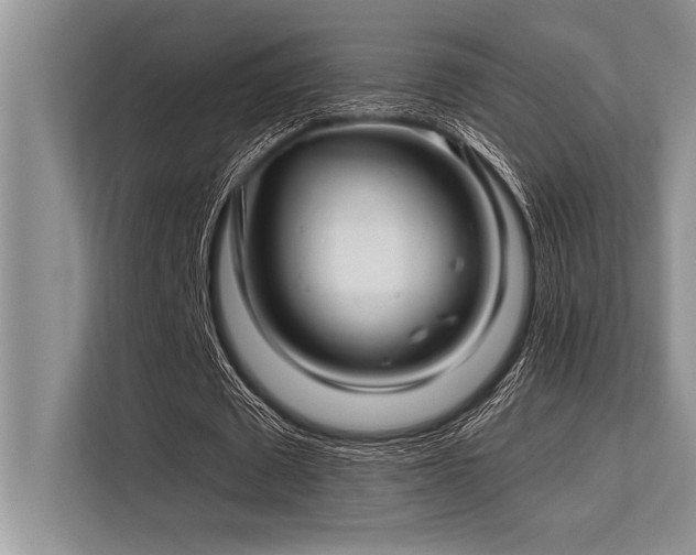 X0000113580673200909181308