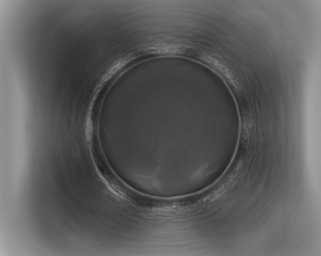 X0000113580674200909181308