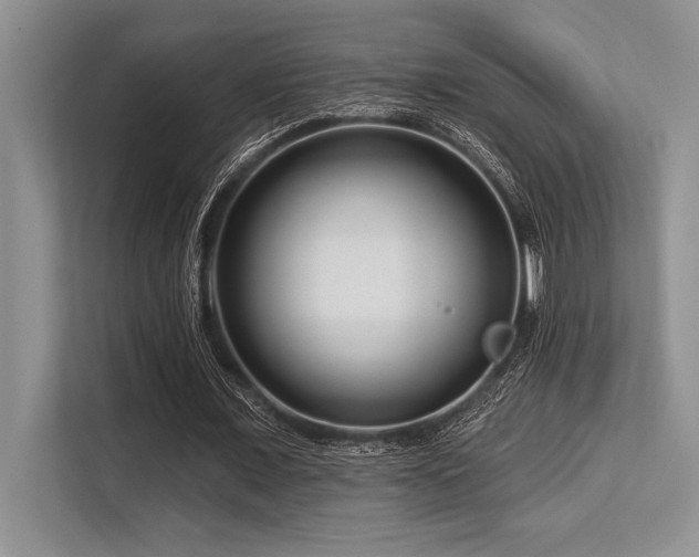 X0000113580675200909181308