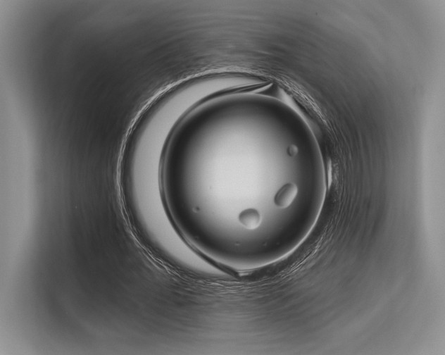 X0000113580676200909181308