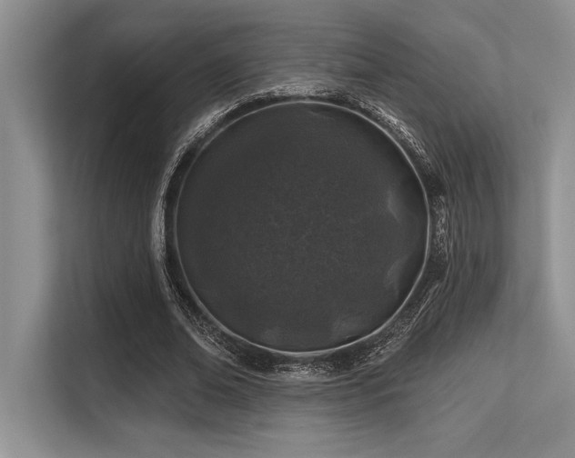 X0000113580678200909181308
