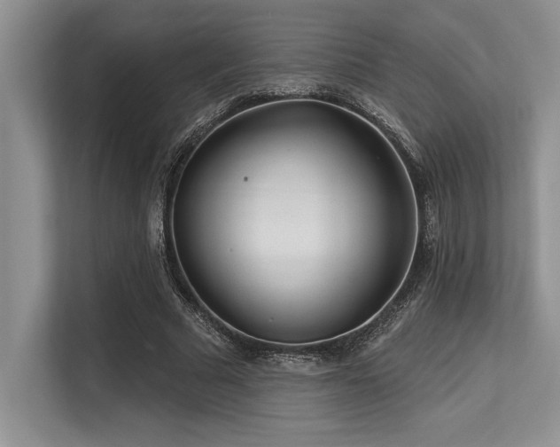 X0000113580681200909181308