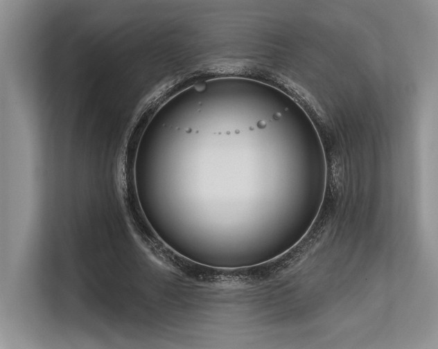 X0000113580682200909181307