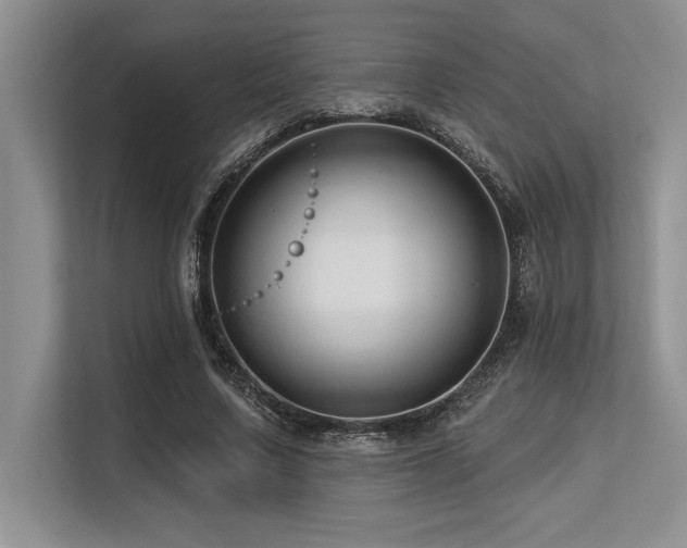 X0000113580683200909181307