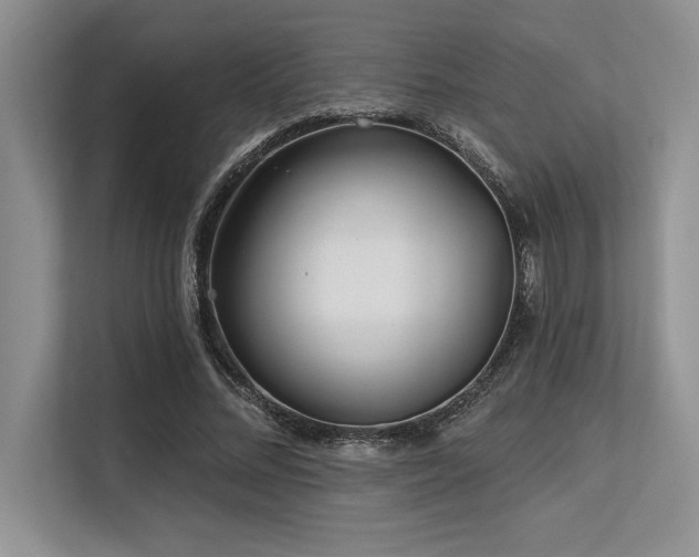 X0000113580684200909181307