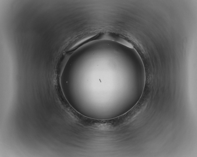 X0000113580689200909181307
