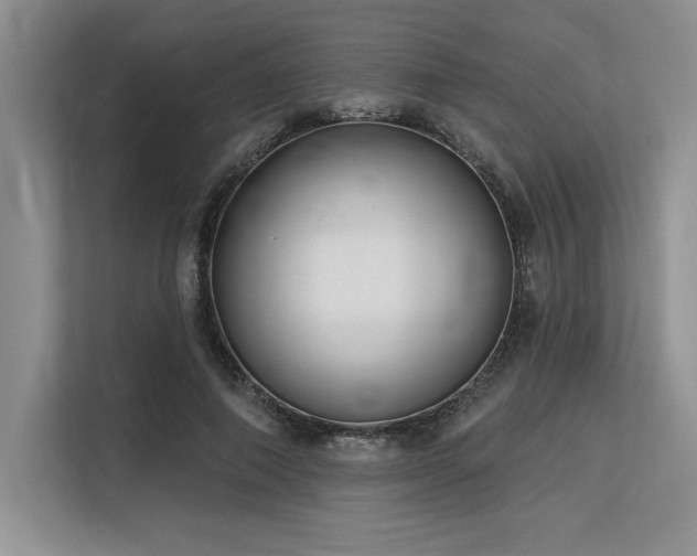 X0000113580690200909181307
