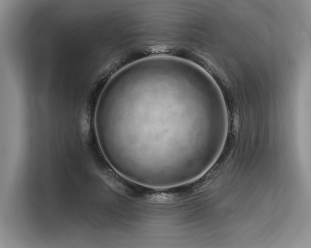 X0000113580691200909181307